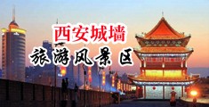 二次元美女PP被狂XX中国陕西-西安城墙旅游风景区