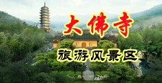 大鸡巴在线日中国浙江-新昌大佛寺旅游风景区